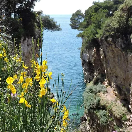 Benedetta Apartman Pula