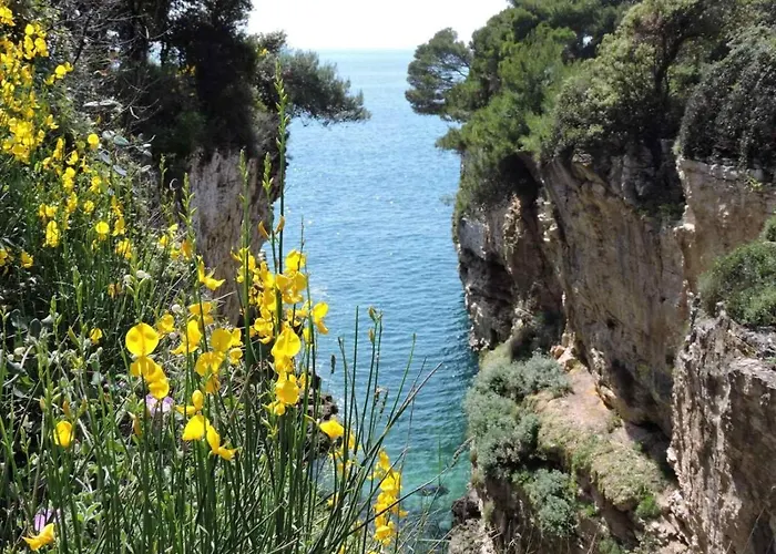 Benedetta Διαμέρισμα Πούλα