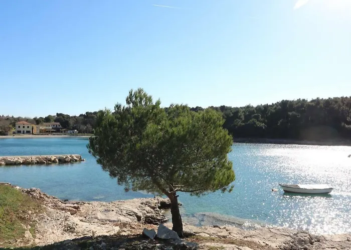 Benedetta * פולה